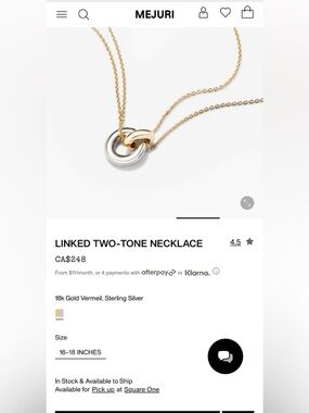 Mejuri Two-Tone Interlocking Necklace in Gold and Silver